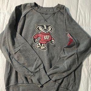Wisconsin Badger sweater